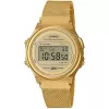 Casio Collection Vintage (007)