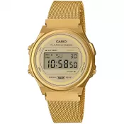 Casio Collection Vintage (007)