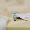 Casio Collection AQ-240E-2AEF